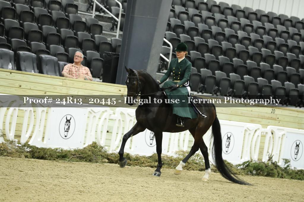Proof 24R13_20445