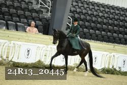 24R13_20445 proof