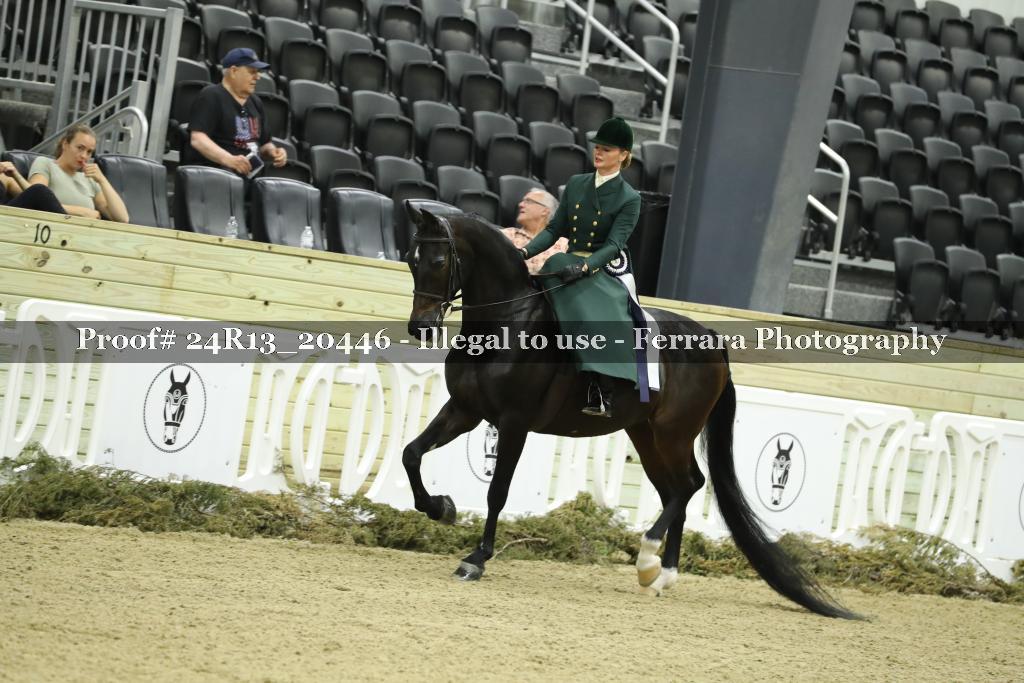 Proof 24R13_20446