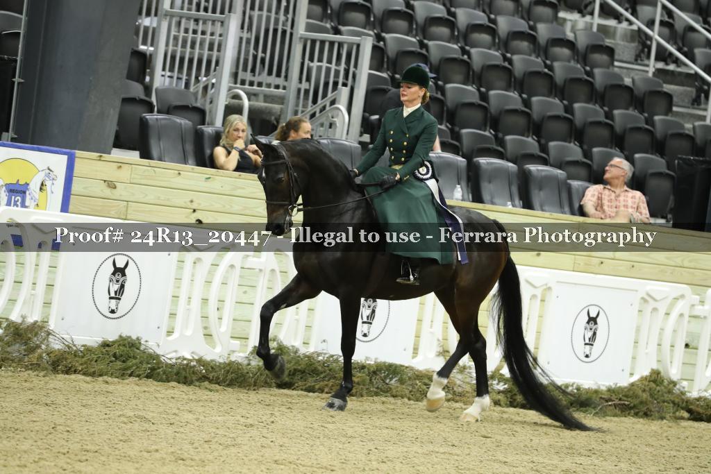 Proof 24R13_20447