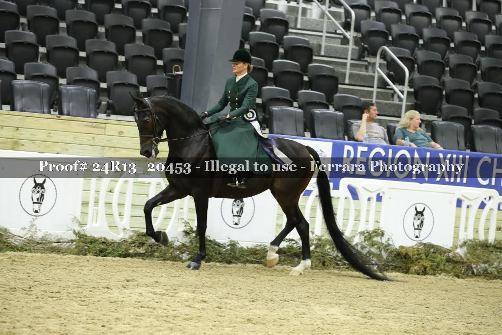Proof 24R13_20453