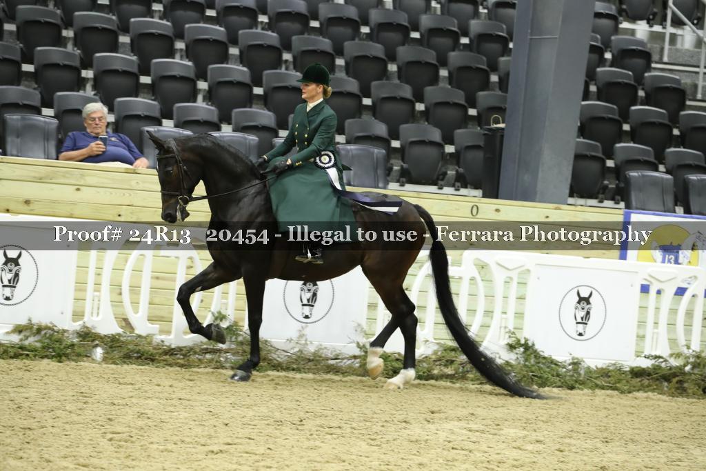 Proof 24R13_20454