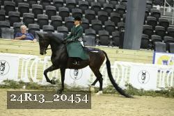 24R13_20454 proof