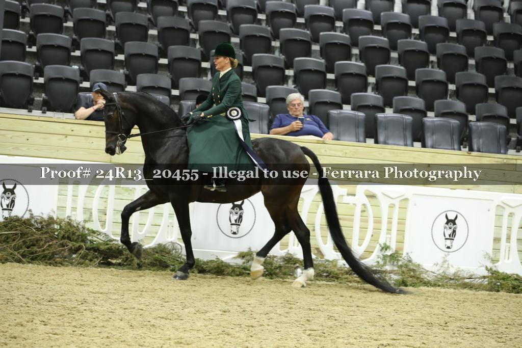 Proof 24R13_20455