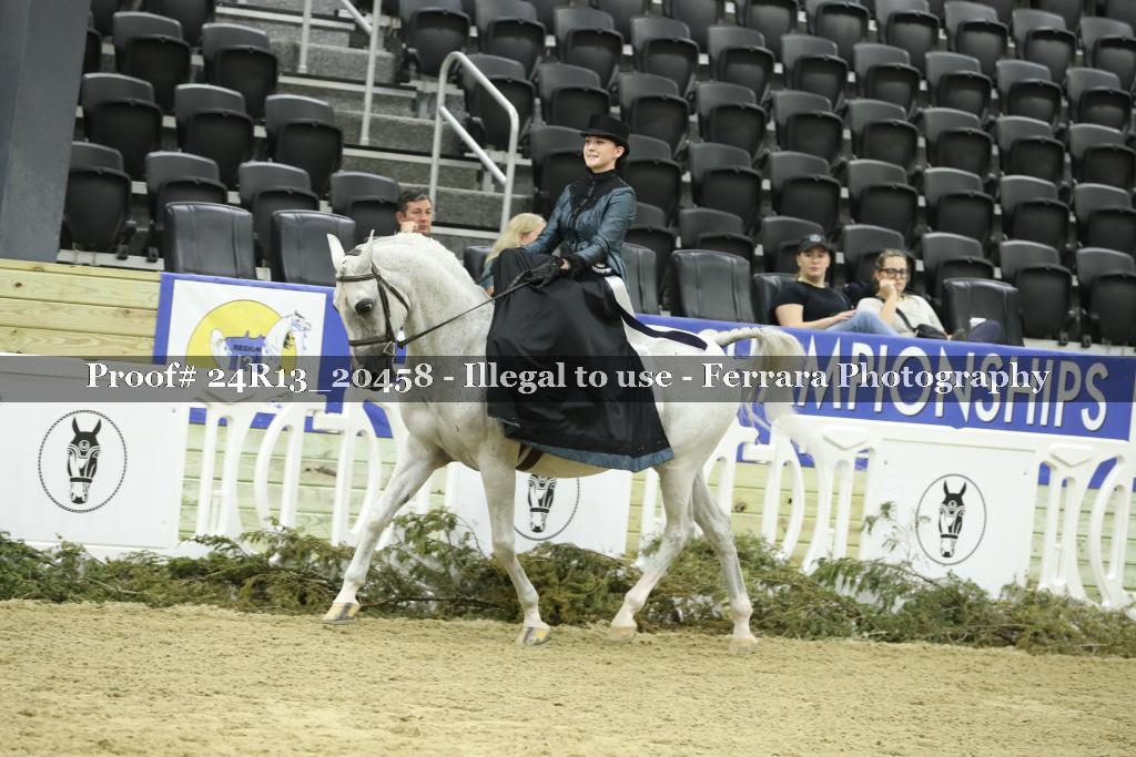 Proof 24R13_20458