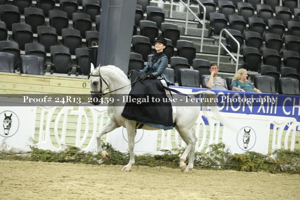 Proof 24R13_20459