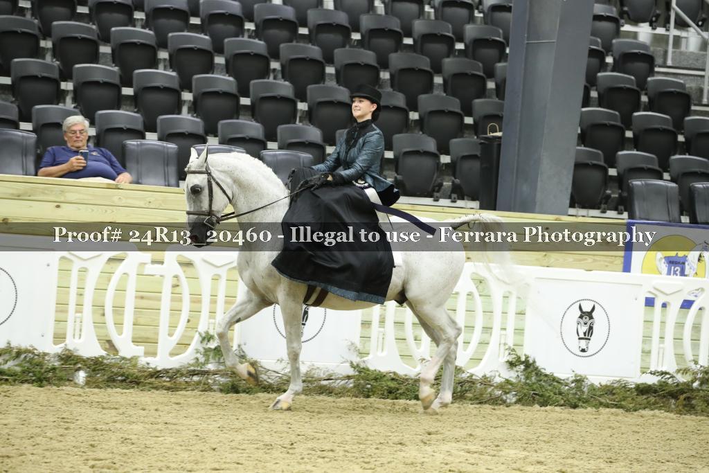 Proof 24R13_20460