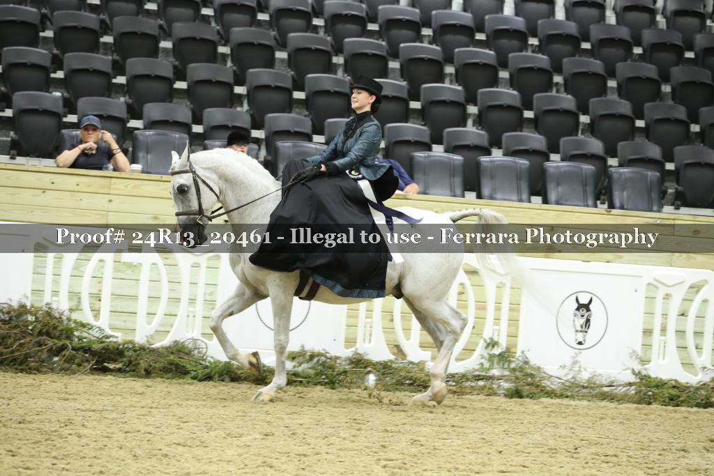 Proof 24R13_20461