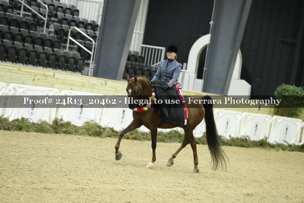 Proof 24R13_20462