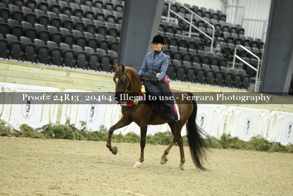 Proof 24R13_20464