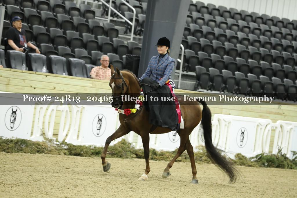 Proof 24R13_20465