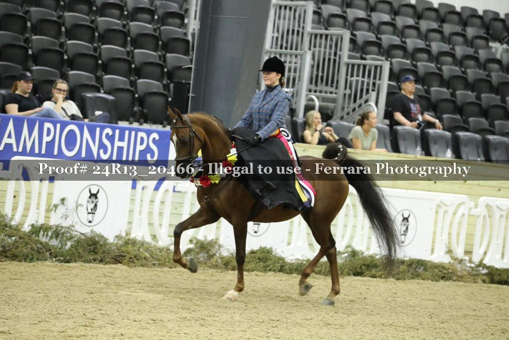 Proof 24R13_20466