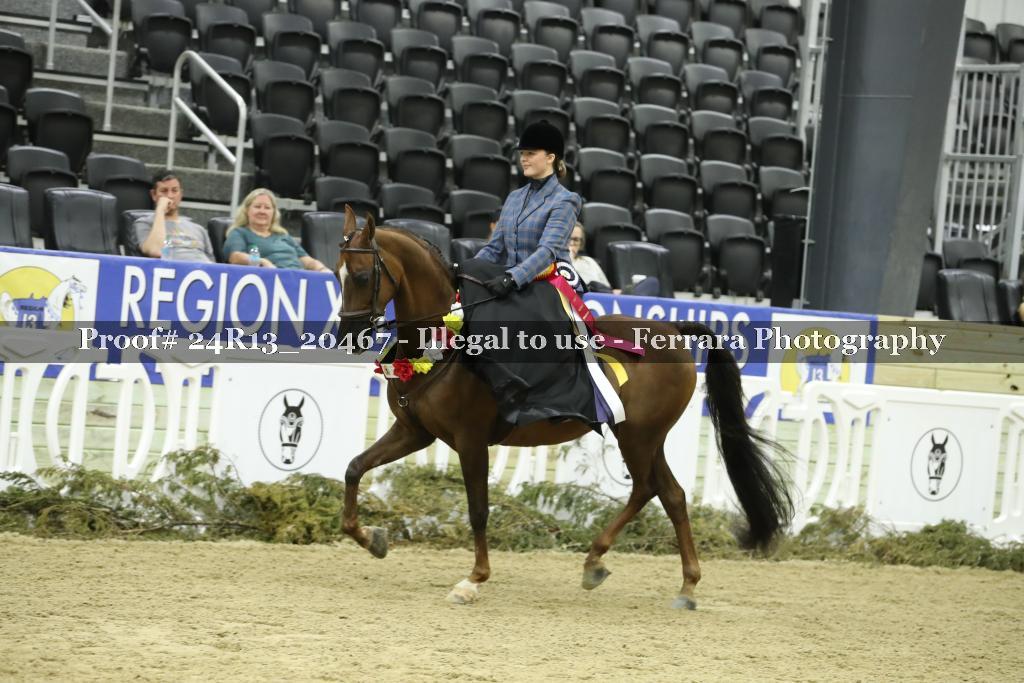 Proof 24R13_20467