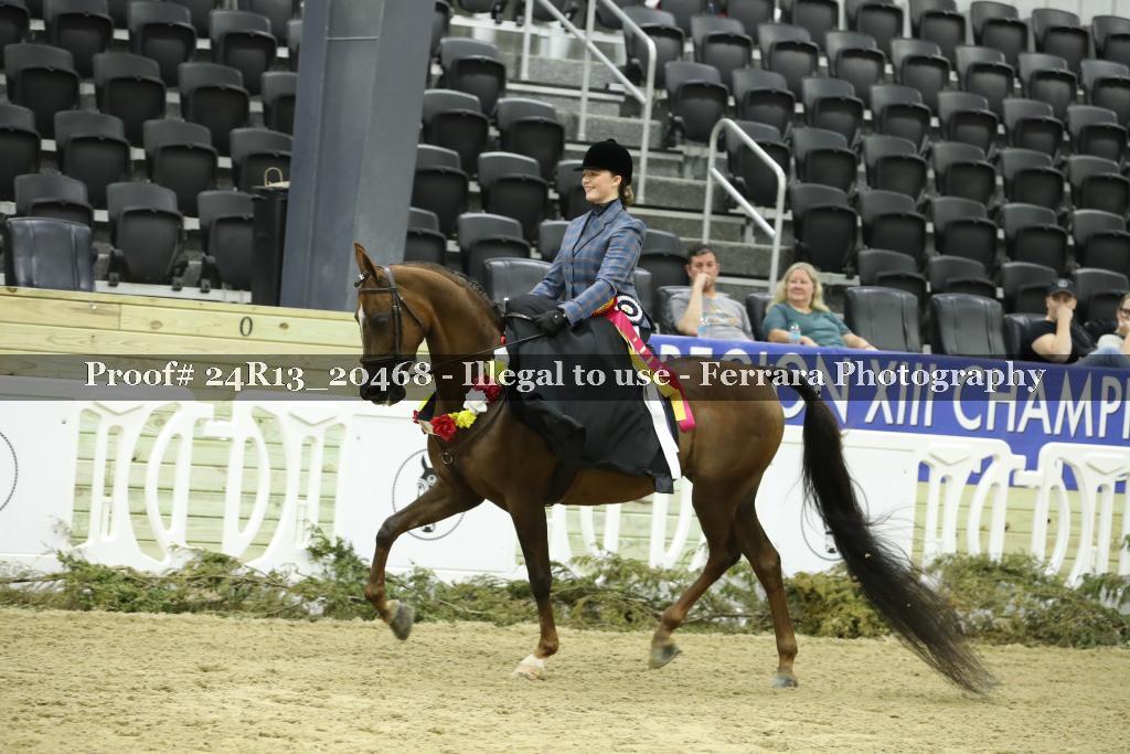 Proof 24R13_20468