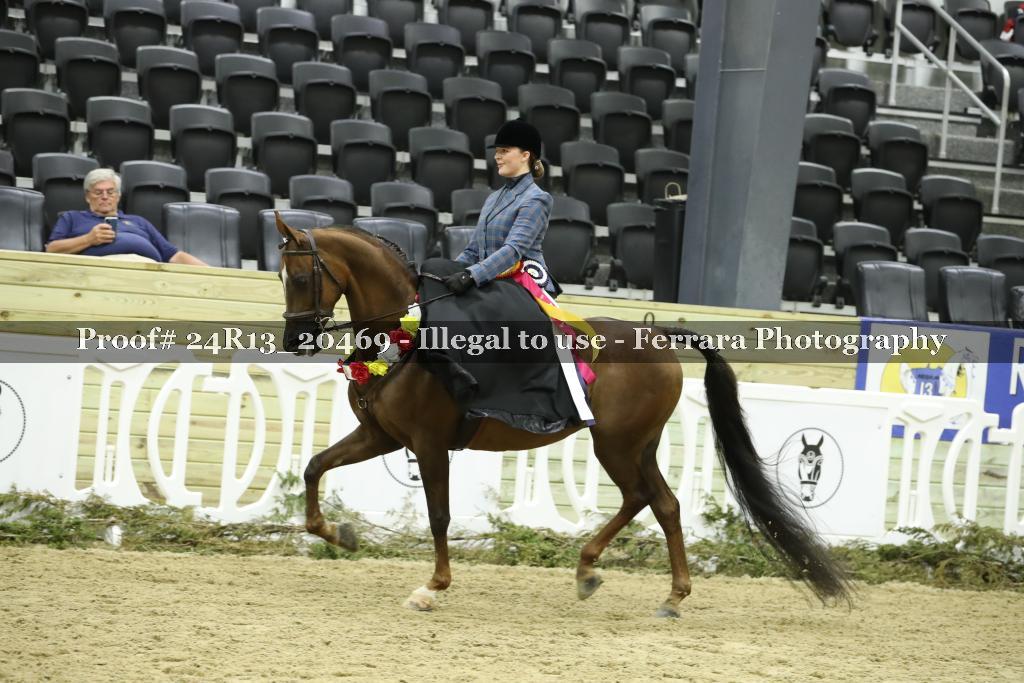 Proof 24R13_20469