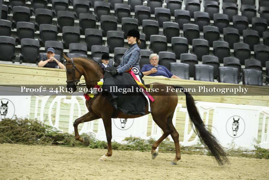 Proof 24R13_20470