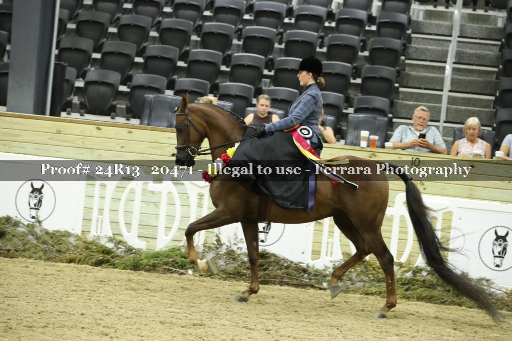 Proof 24R13_20471