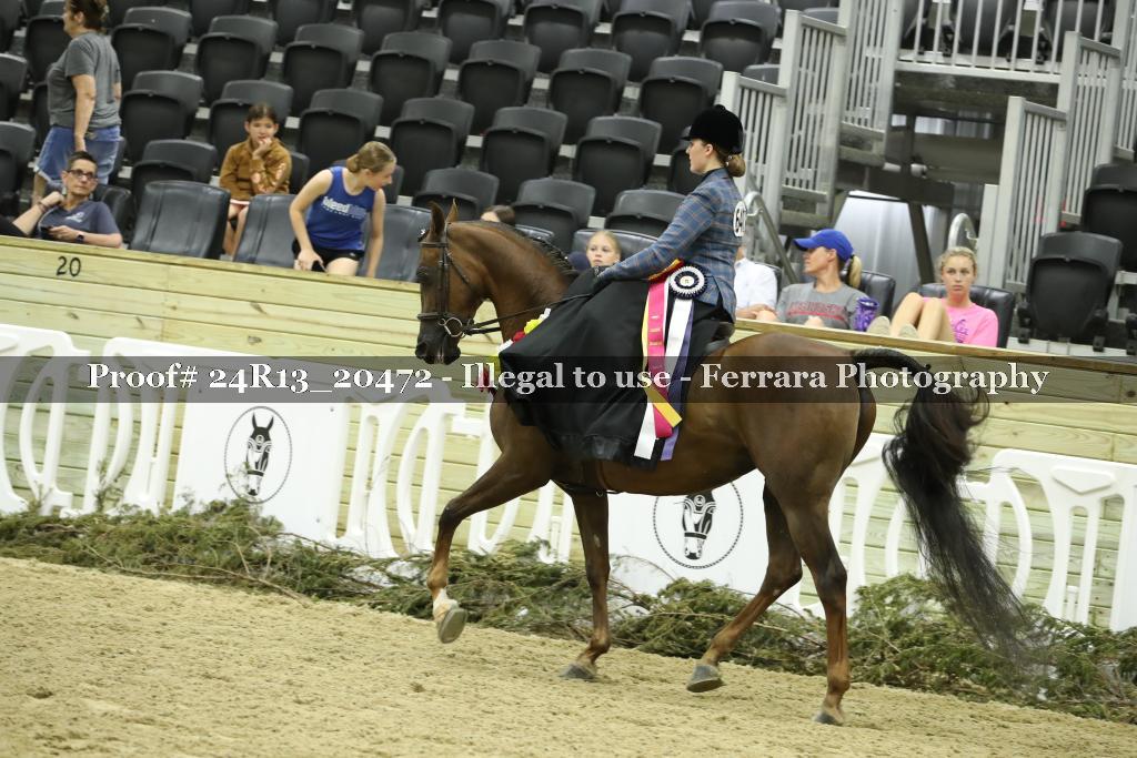 Proof 24R13_20472