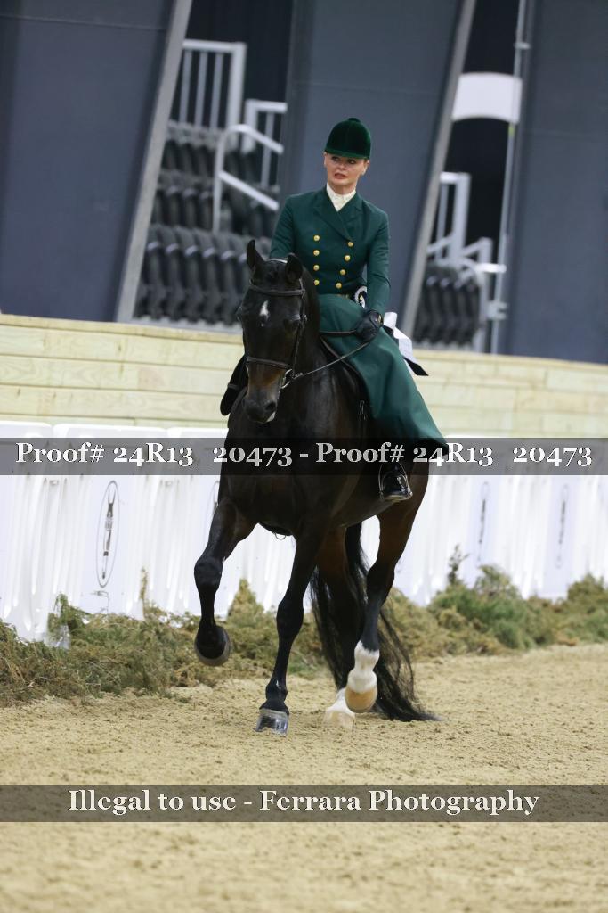 Proof 24R13_20473