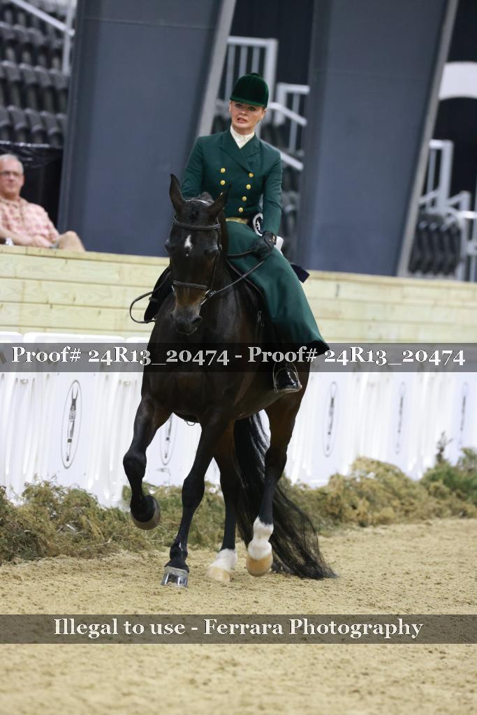 Proof 24R13_20474