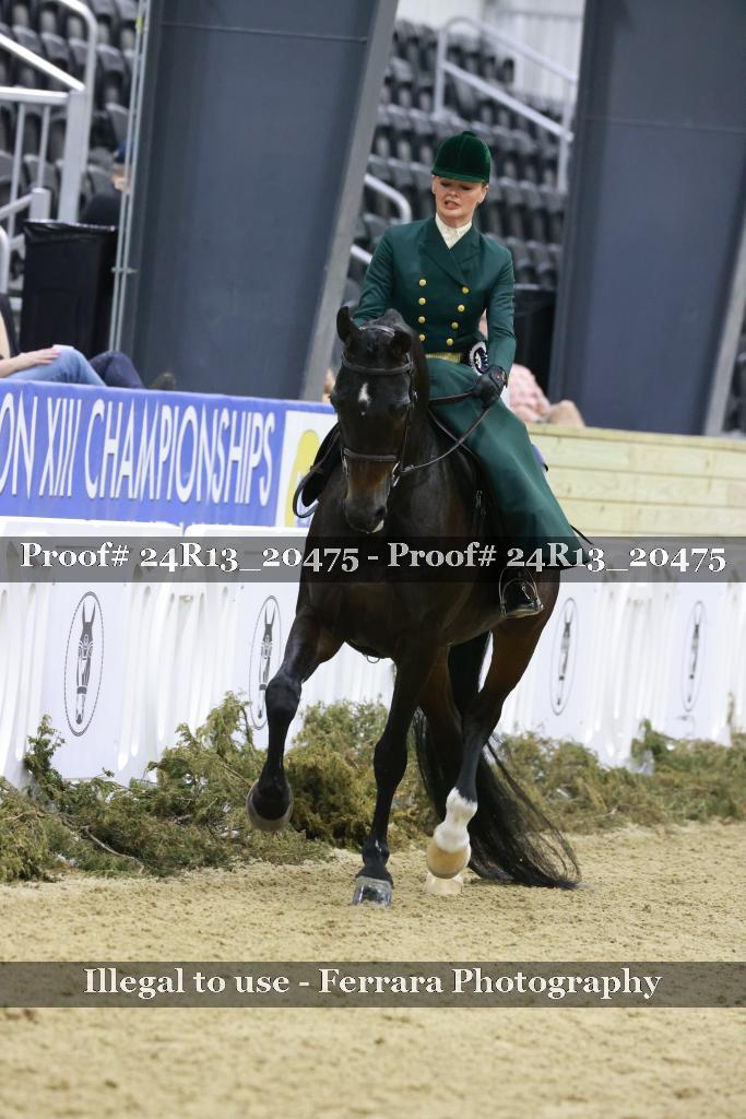 Proof 24R13_20475