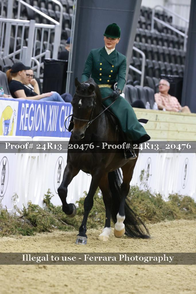 Proof 24R13_20476