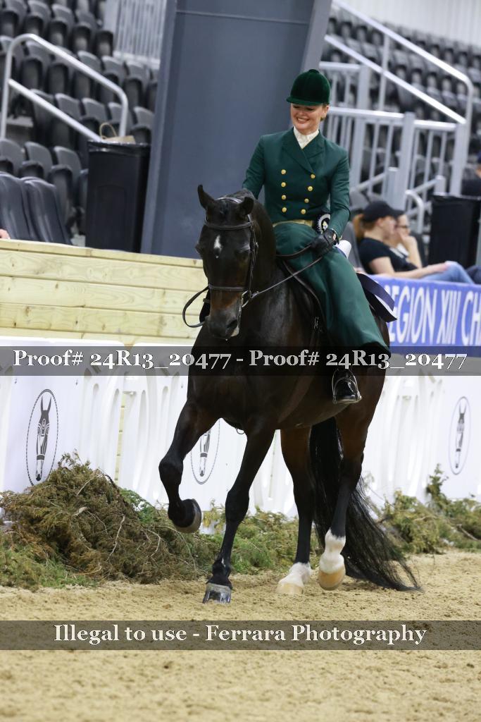 Proof 24R13_20477