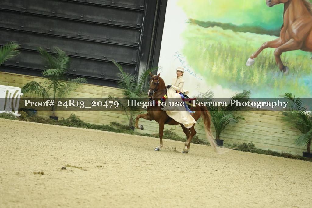 Proof 24R13_20479