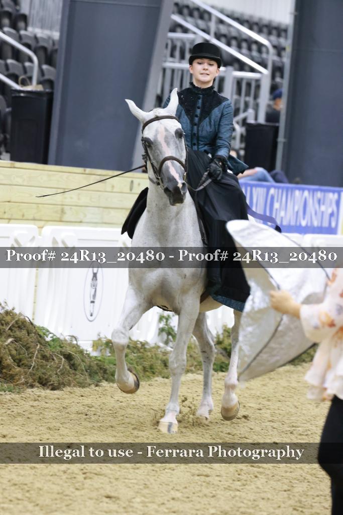 Proof 24R13_20480