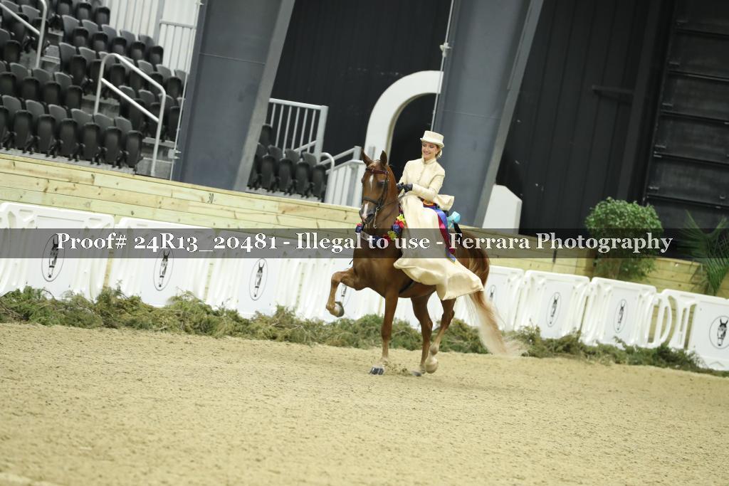 Proof 24R13_20481