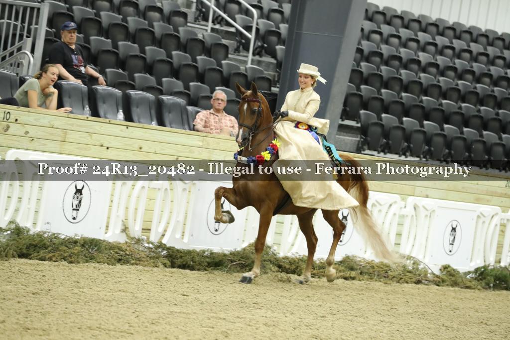 Proof 24R13_20482