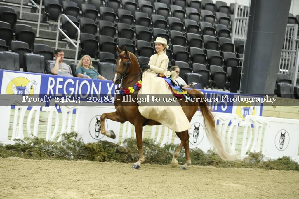 Proof 24R13_20484