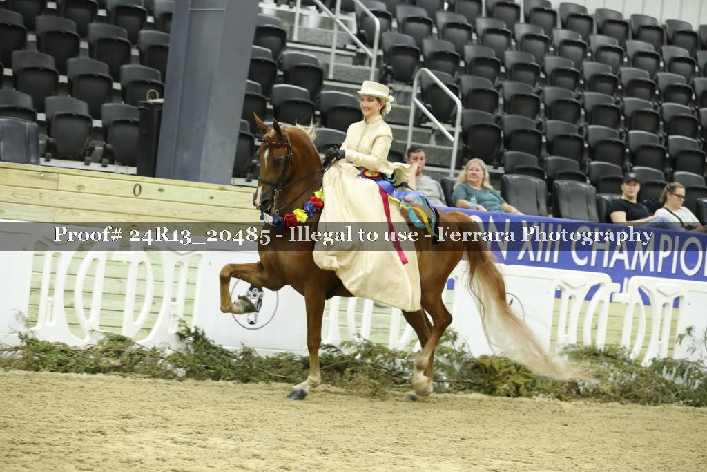 Proof 24R13_20485