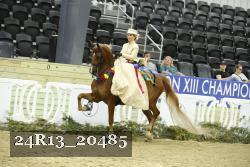 24R13_20485 proof