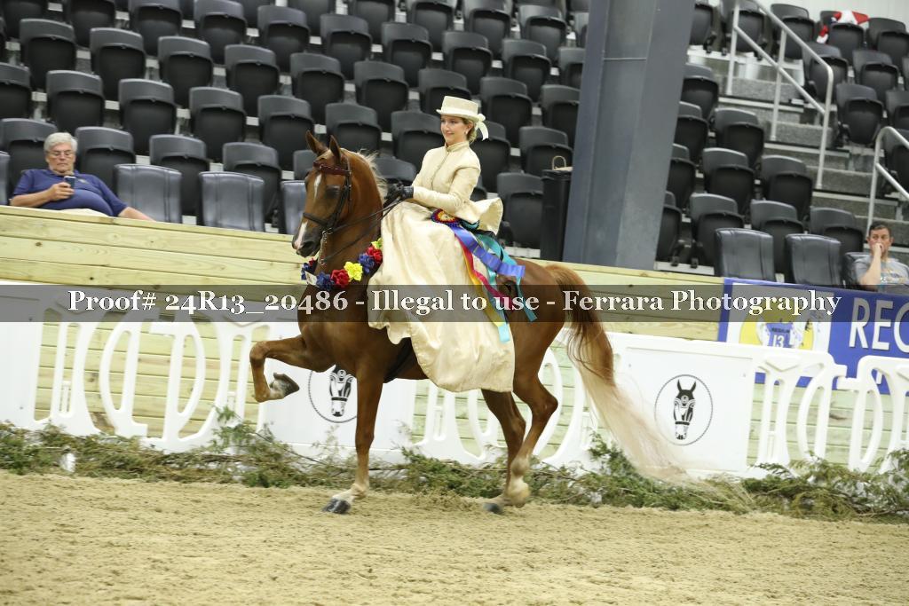 Proof 24R13_20486
