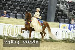24R13_20486 proof