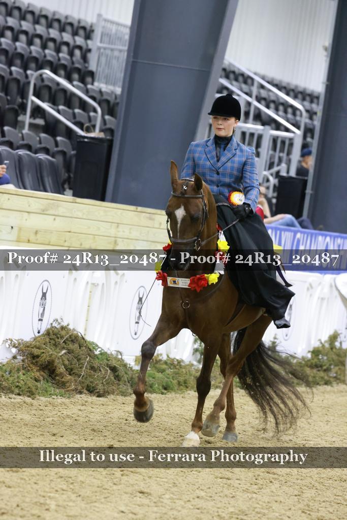Proof 24R13_20487