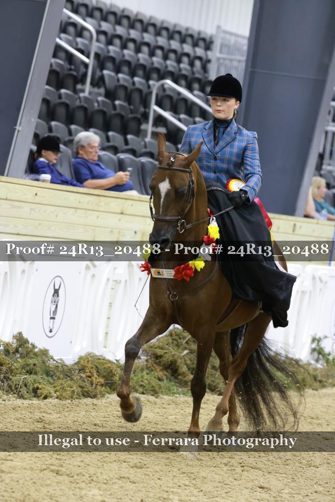 Proof 24R13_20488