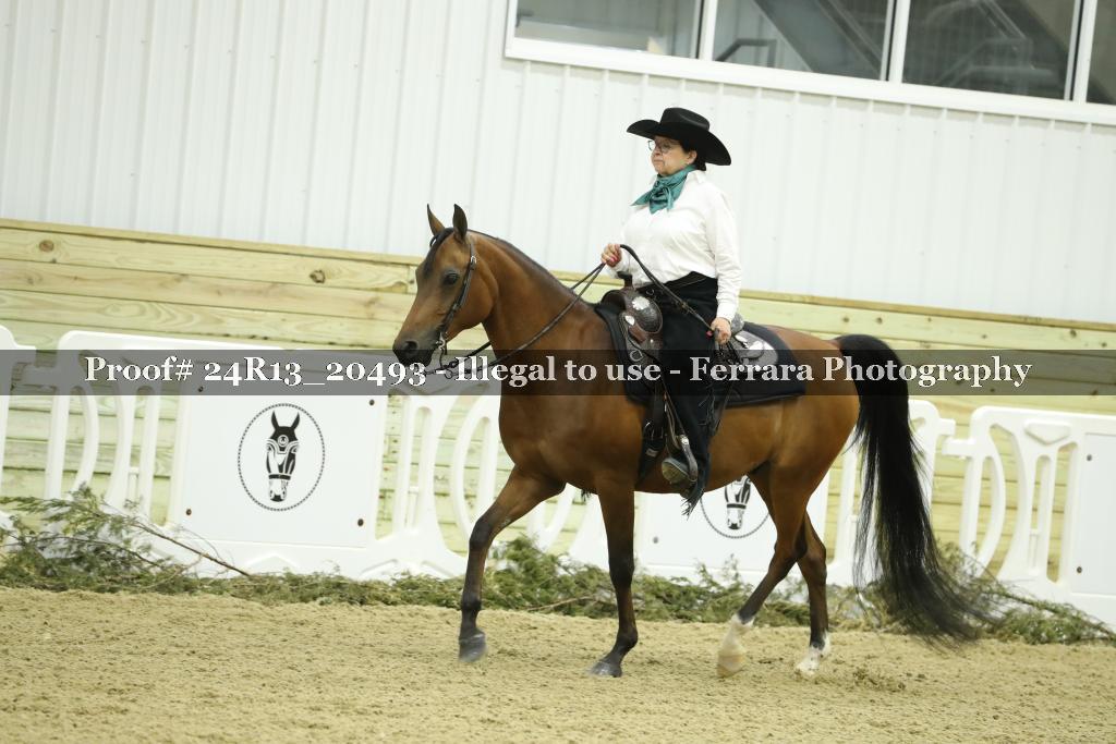 Proof 24R13_20493