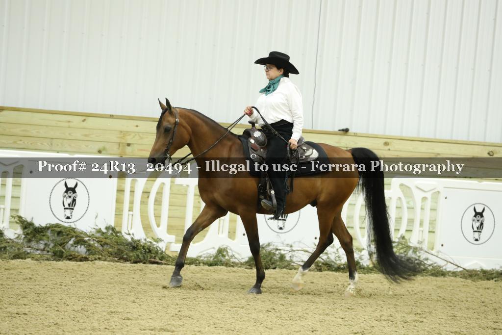 Proof 24R13_20494
