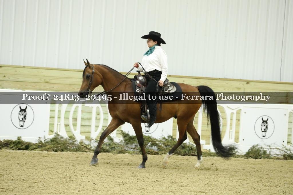 Proof 24R13_20495
