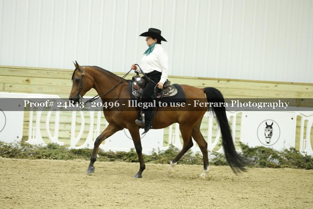 Proof 24R13_20496