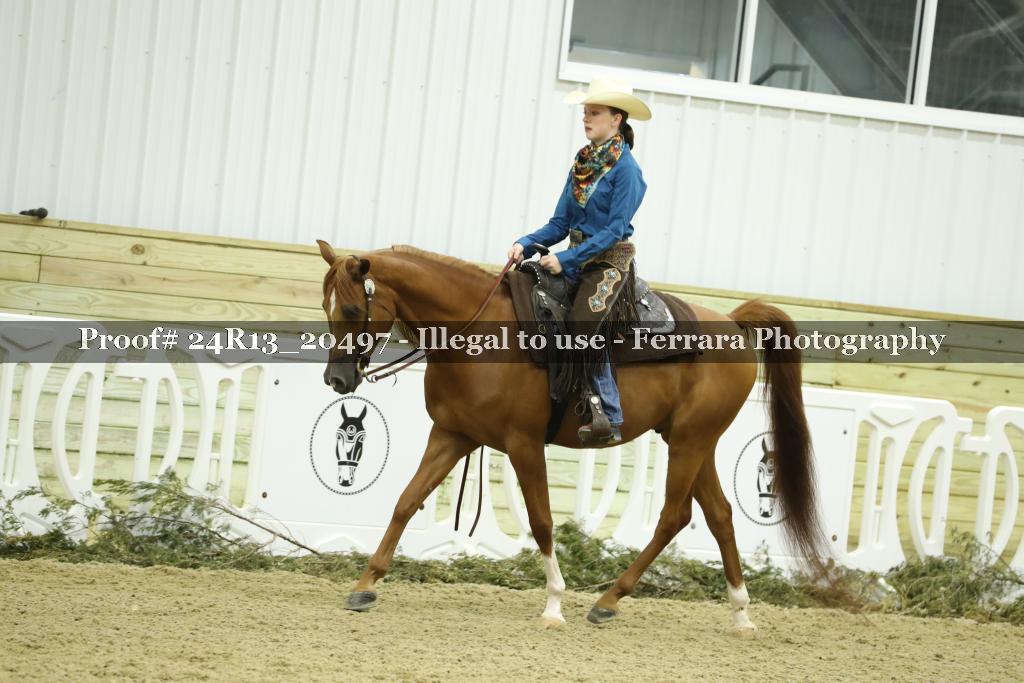 Proof 24R13_20497