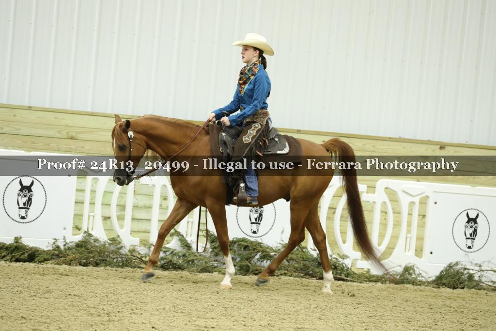 Proof 24R13_20499