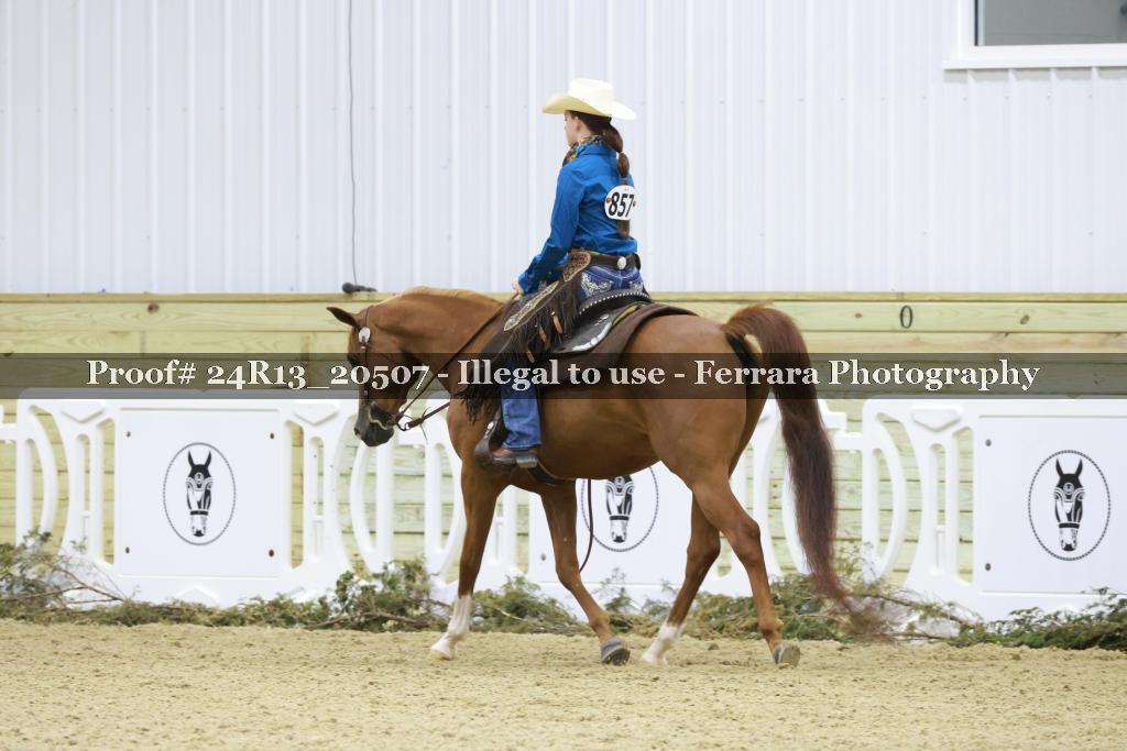 Proof 24R13_20507