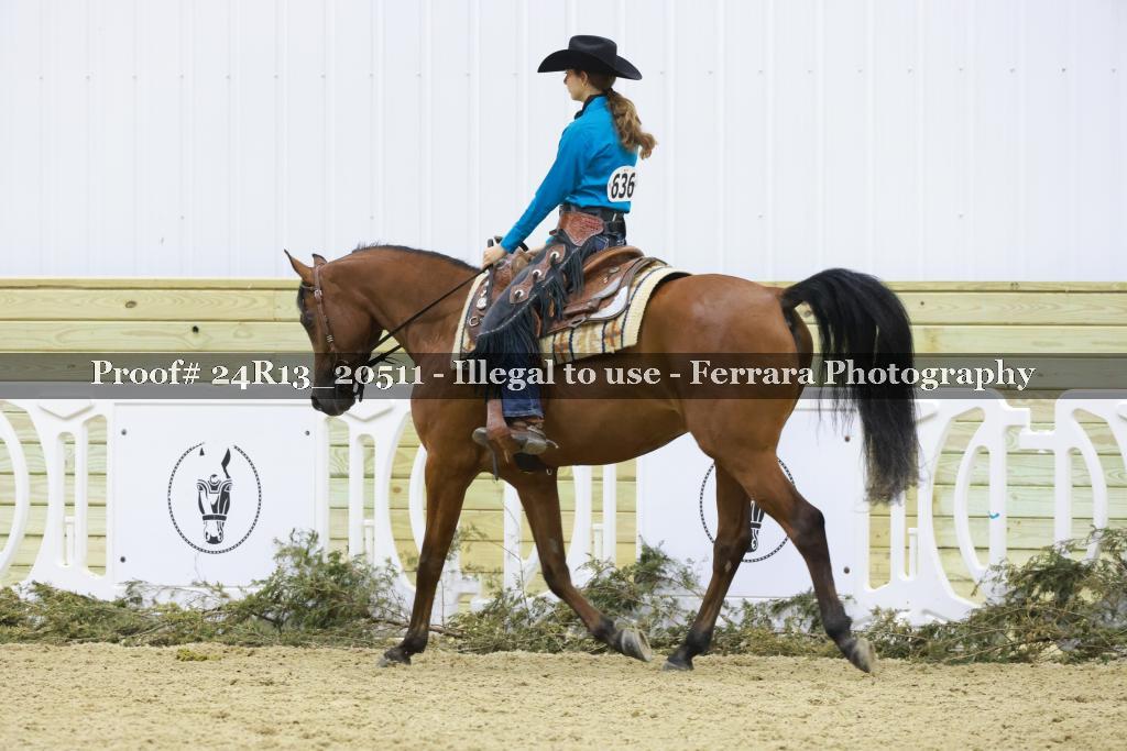 Proof 24R13_20511