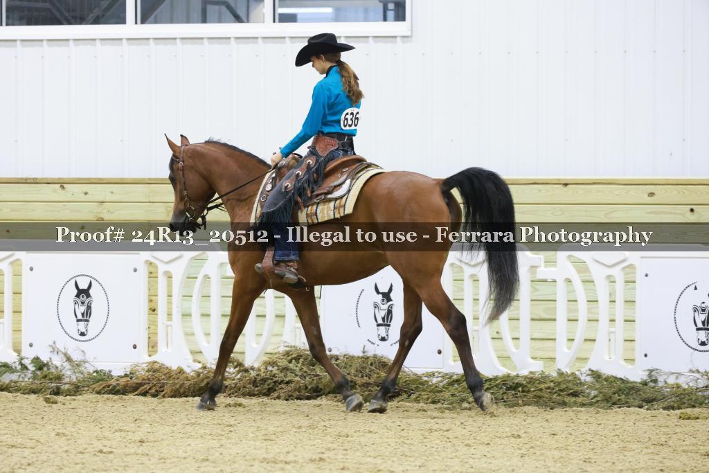 Proof 24R13_20512