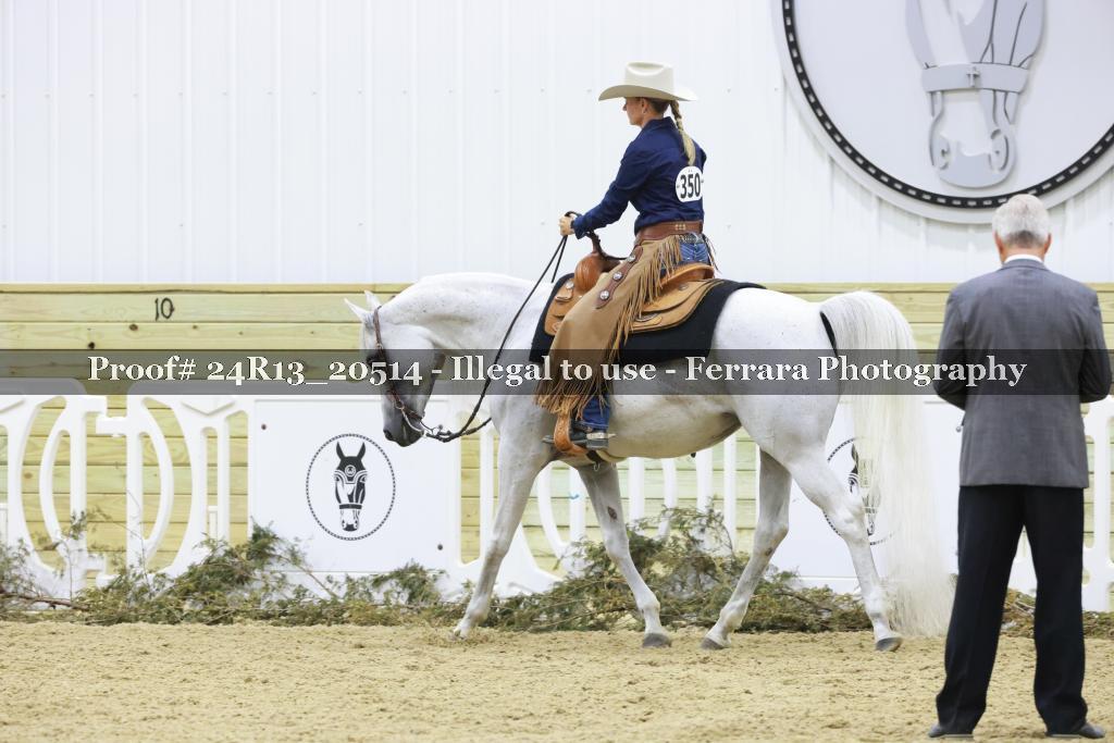 Proof 24R13_20514