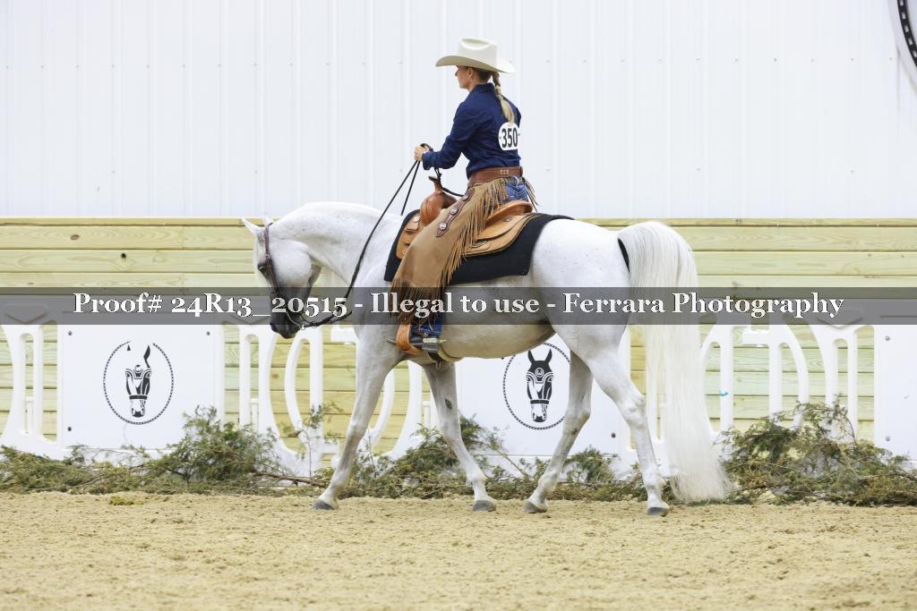 Proof 24R13_20515