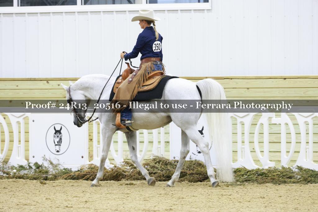 Proof 24R13_20516